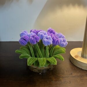 Purple Tulip Garden