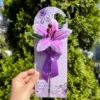 Lavender Chenille Lily Card